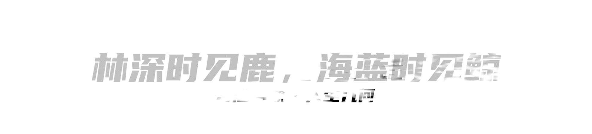31岁医学博士患癌去世捐出器官,31岁医学博士病逝器官捐献