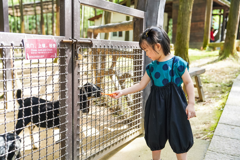 安吉中南百草园二天一夜攻略,安吉中南百草原刺激游乐项目