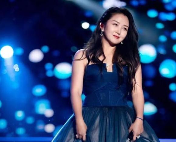 从爆红到无人问津苏醒,何洁当时的事业陷入了低迷期