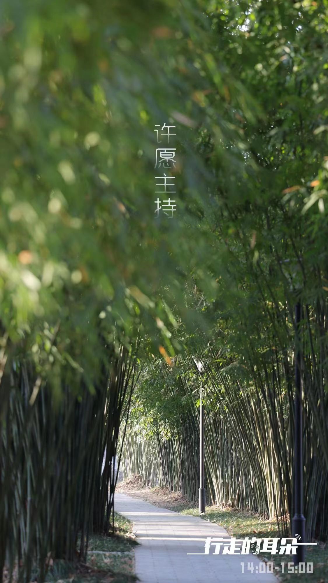 俄罗斯芭蕾舞团天鹅湖介绍,俄罗斯皇家芭蕾舞剧天鹅湖长沙站