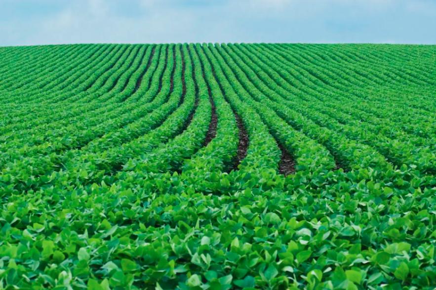 国外教授看四大文明古国,英国教授说中国文明古国