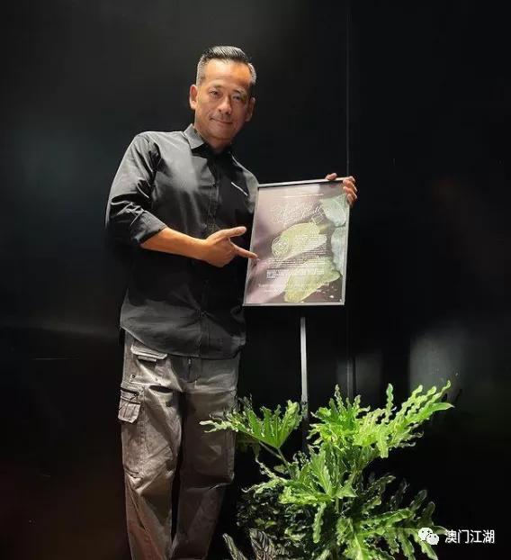 「粤港澳观察」“小赌王”被澳门警方带走，原配焦虑首发声，有人担心本澳*彩博**业受影响，*彩博**专家辟谣