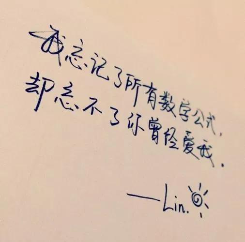 那纷纷扬扬的花瓣犹如万千飞碟，在蓝天下飞扬着翩跹的舞姿