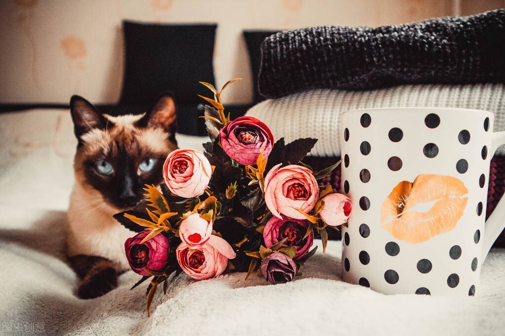 客厅壁纸怎么便宜省钱好看,客厅壁纸多少钱一平方米