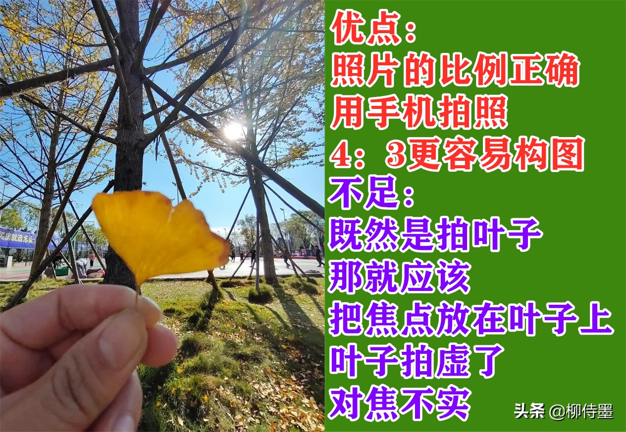 手机拍照片有哪些优点和缺点？3个摄影技巧，助你扬长避短