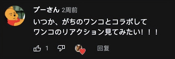 不想再做人,日本男子花了200万让自己变成了狗