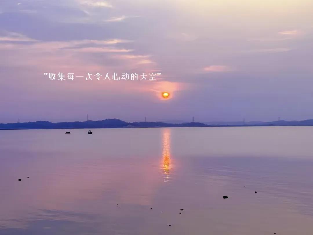 一家中古奢侈品店的声色世界,一家中古奢侈品店里的人生08集