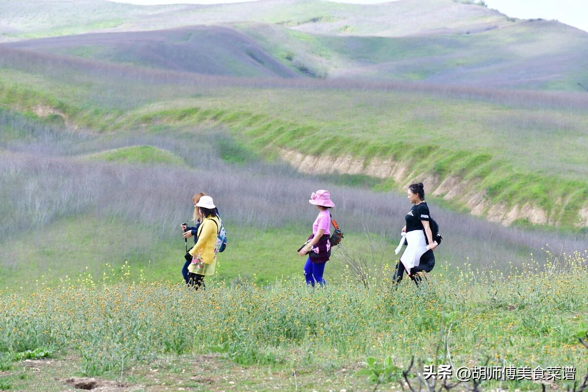 今年清明节上坟祭祖什么日子最好,今年的清明节可不可以上坟祭祖