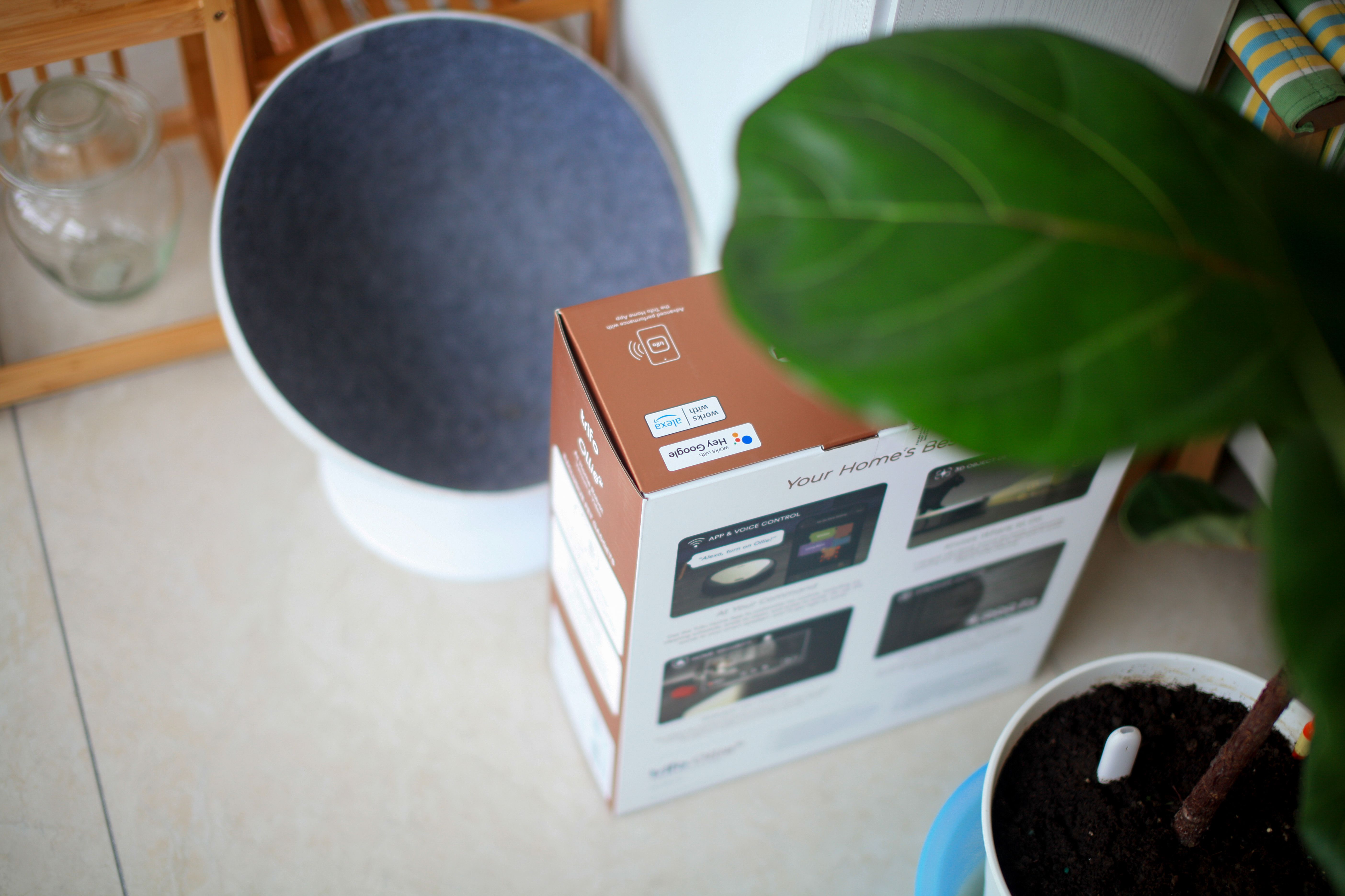 猫之使徒·激光逗猫征服者-TrifoOllie宠物扫拖机器人