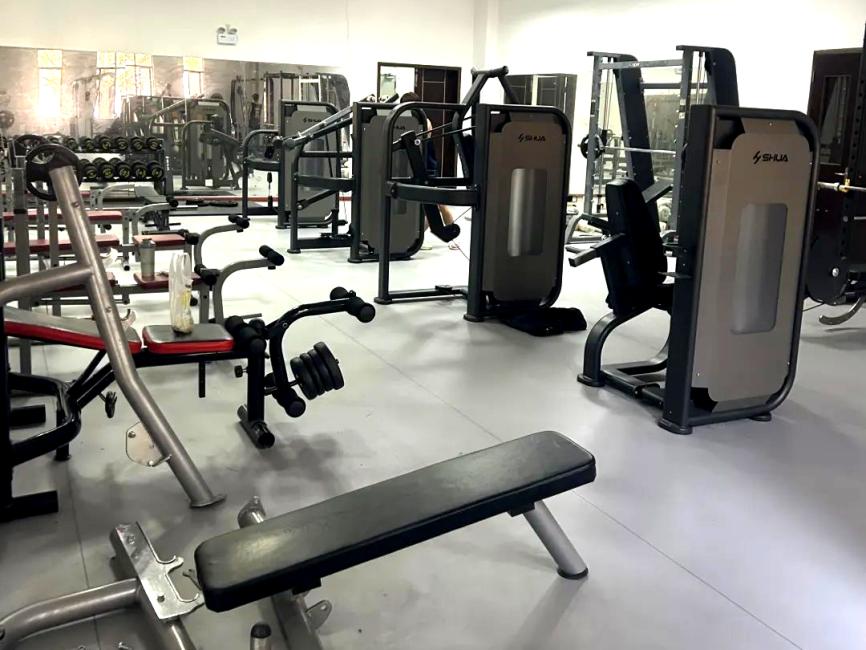 一文揭晓,大学生课余都在干什么?广东这所高校:技能满点,摘金夺银