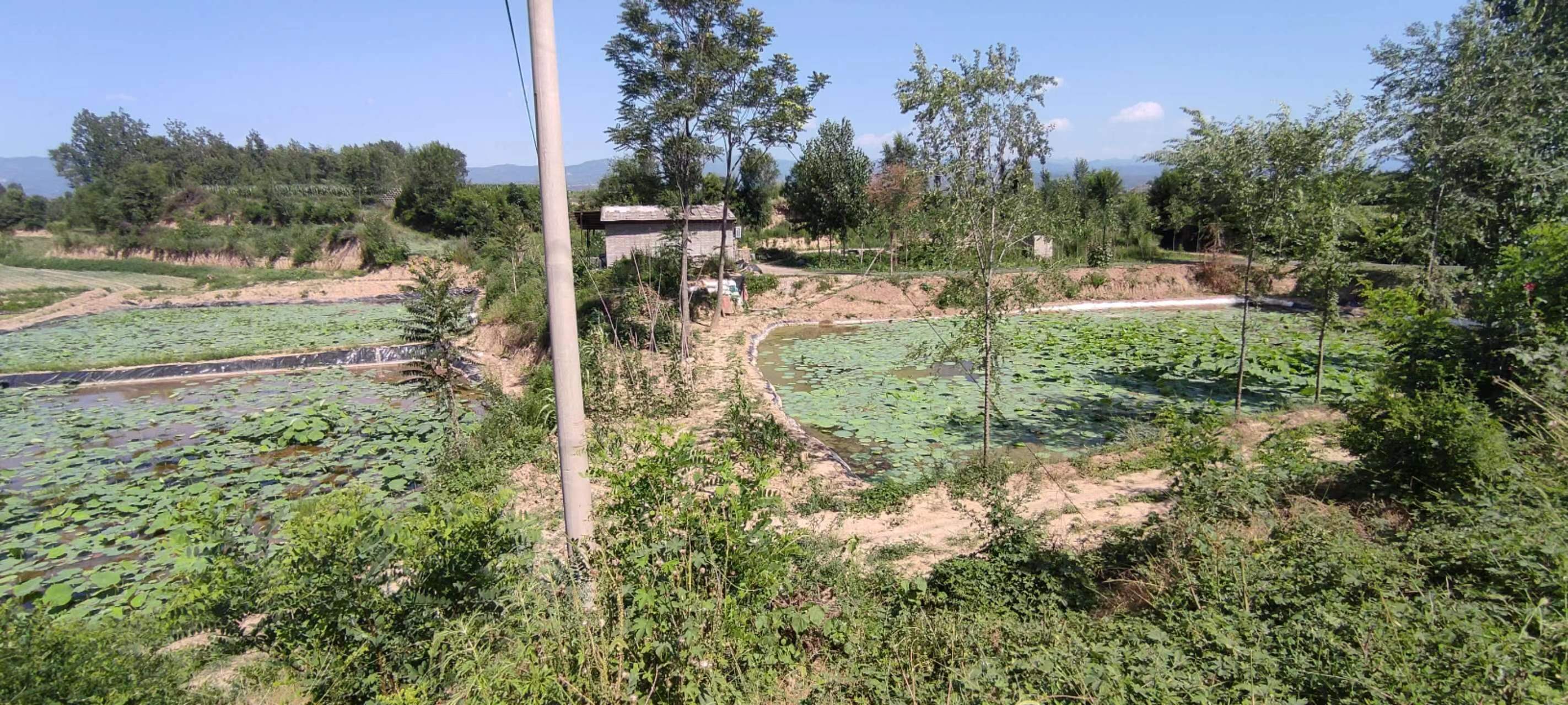 古中国考出彭蠡泽｜张笔魁