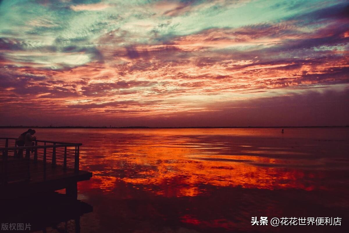 青浦城区和青浦新城板块有啥区别,上海五大新城青浦前景最好