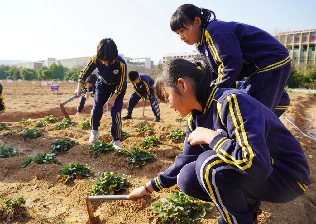 前方高能校园歌手演唱瞬间,前方高能校园