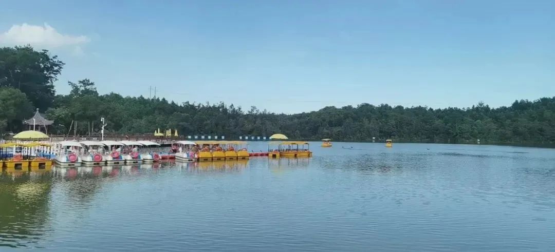 厦门秋游最佳去处,厦门周边秋游