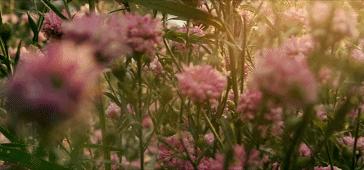 豆瓣8.1！日本杀疯了，又拍了部过不了审的…