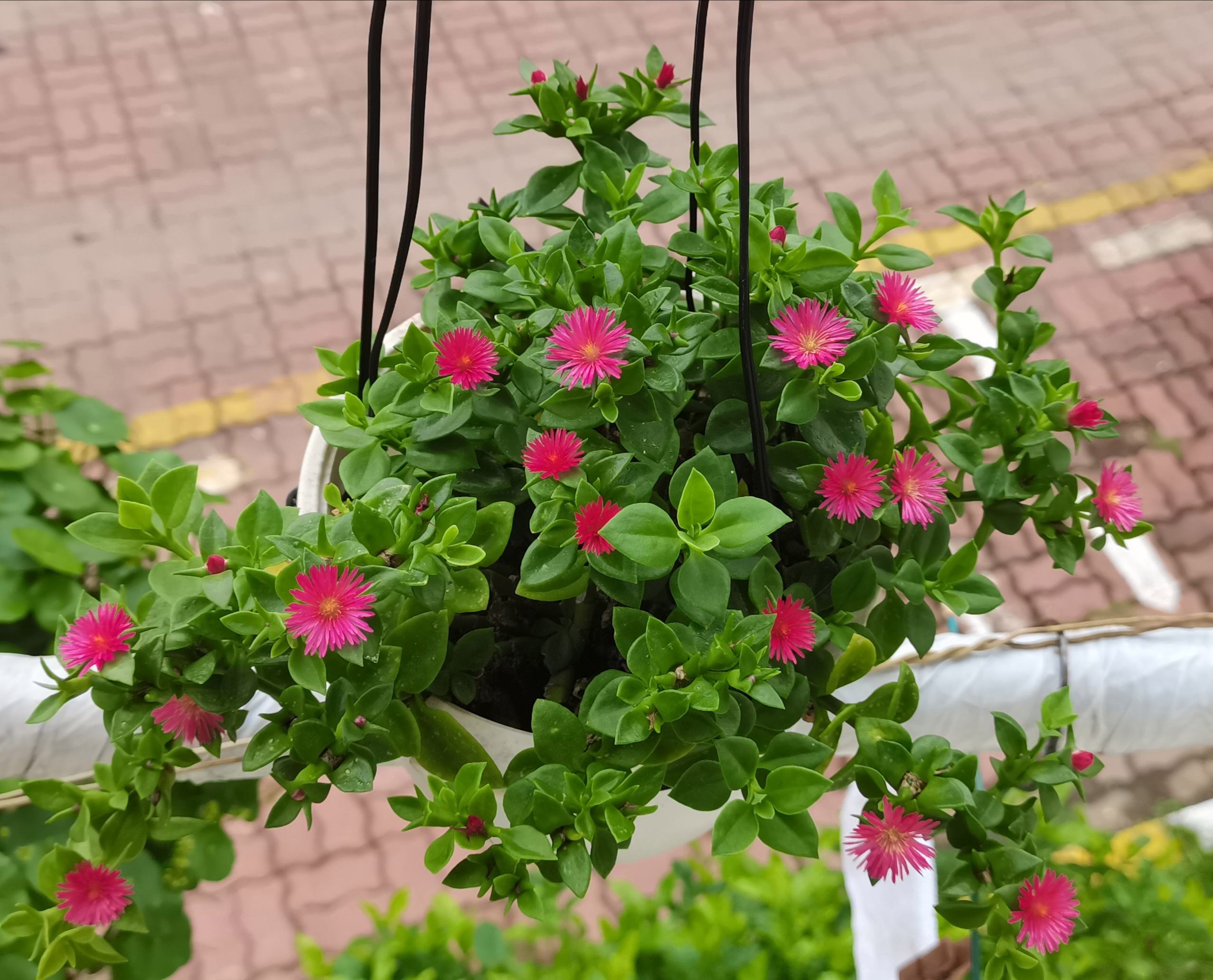 老中医喜欢十大食材,老中医五种食物养生100岁