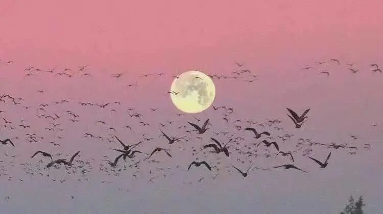 怎么界定抑郁症患者,怎么判定一个人是不是抑郁症