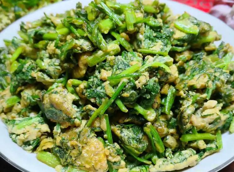 茴香炒鸡蛋怎么做最好吃,茴香鸡蛋怎样炒最好吃