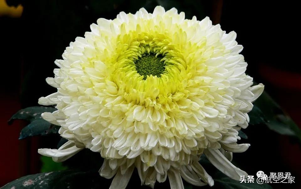 我的第六位生离死别的高中同窗——张厚恒