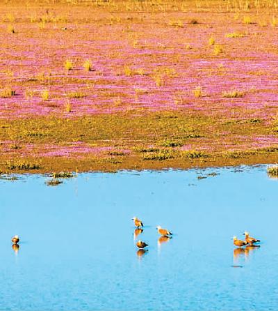 万里河山更美丽dj,万里河山更加多姿多彩