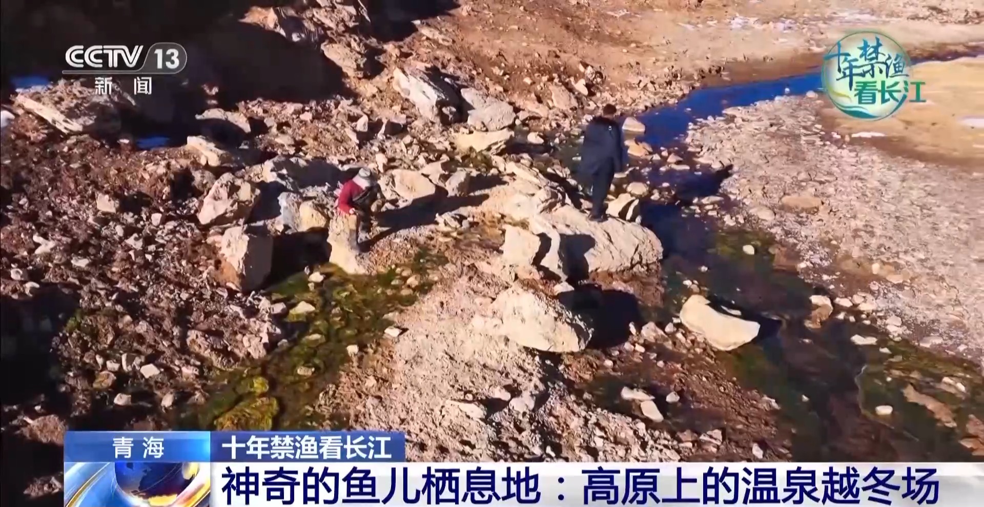 长江禁渔鱼类数据变化,长江禁渔三年多鱼儿们过得怎么样