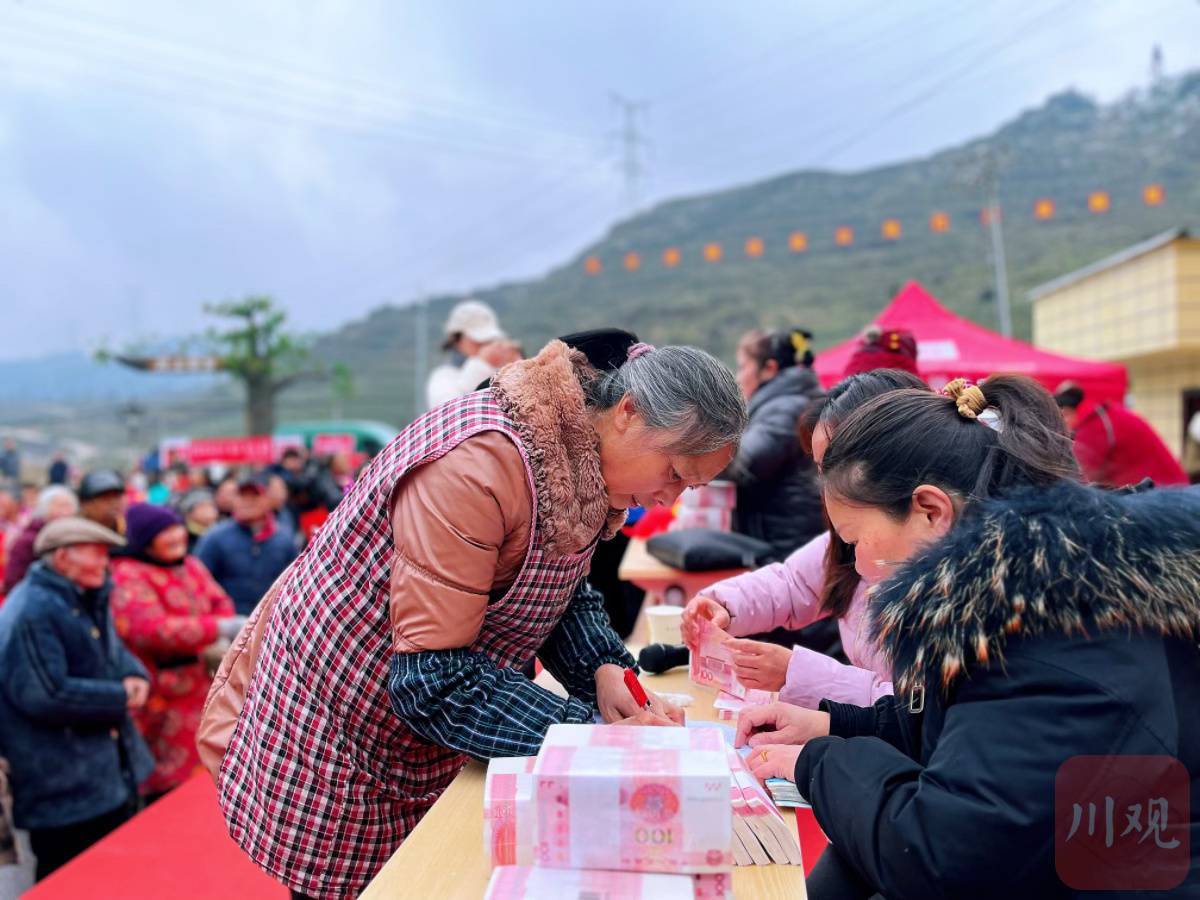 雅安市集体经济发展典范,2023年雅安各区县财政收入