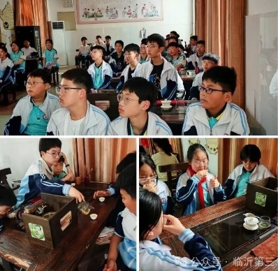 “伴成”有我“践”证成长——临沂第三十四中学七年级赴半程实践基地研学纪实