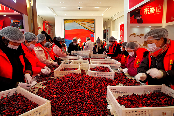 黑龙江蔓越莓特产事件,黑龙江有蔓越莓本地人不知道