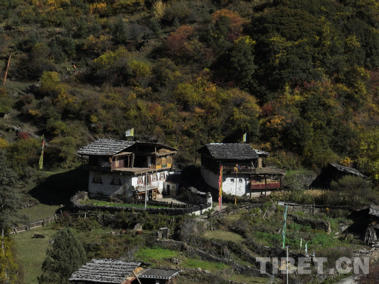 田野调查过程,田野调查完整视频