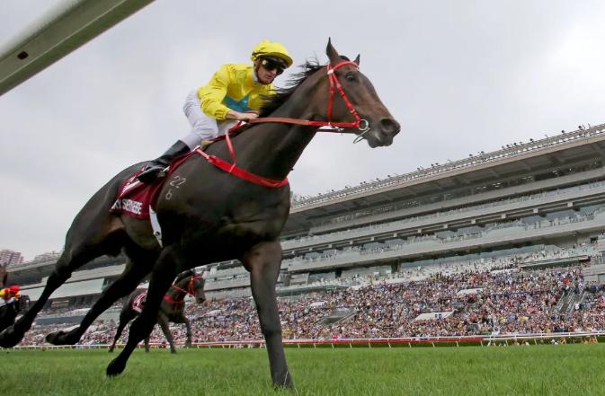 潘顿现况,潘顿最新比赛消息