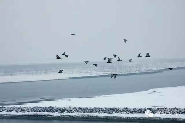 宜城过年气氛,宜城年味