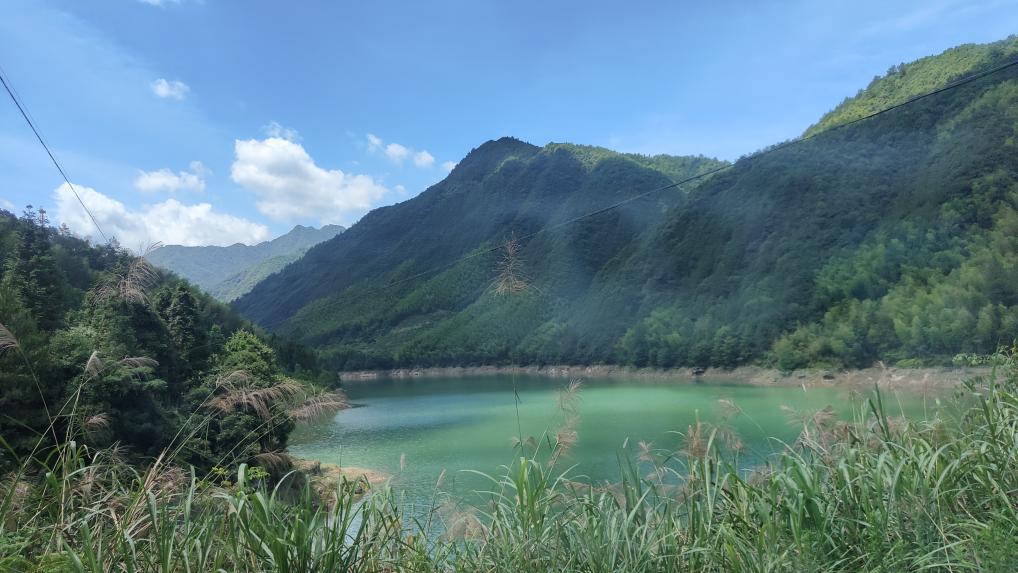 大学生写自己的心路历程,大学生写自传1500字