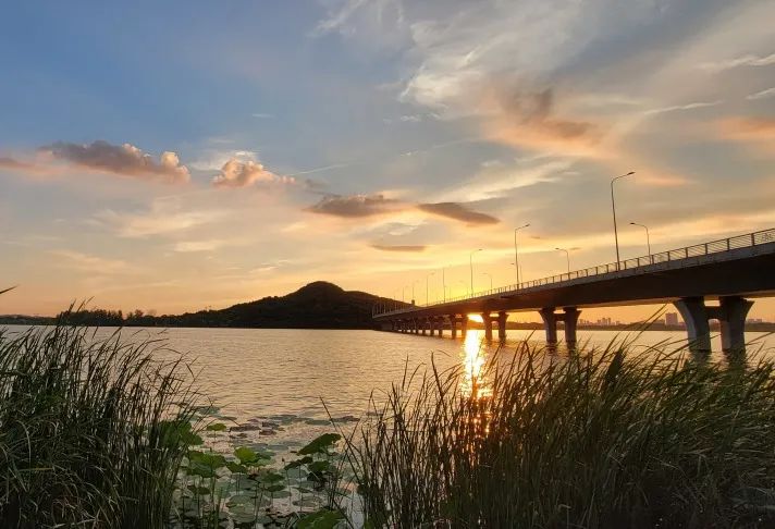 花山属于云南哪里,花山在什么地方