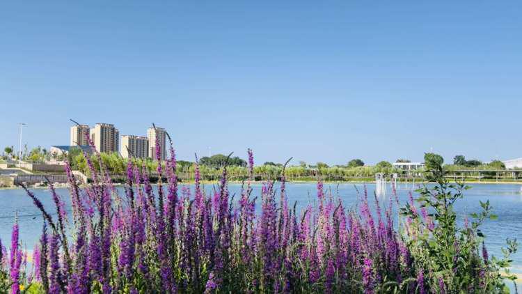 温泉故事情节视频,温泉故事大全