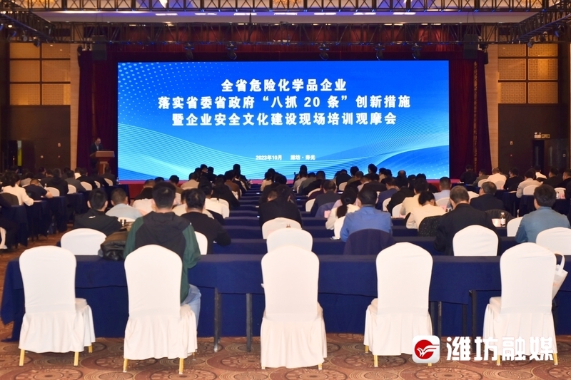 体验交互展会论坛,沉浸式现场教学培训妙趣横生