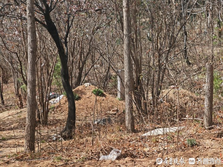 小区旁冒出墓地数百业主心慌慌,小区花园惊现一座坟墓