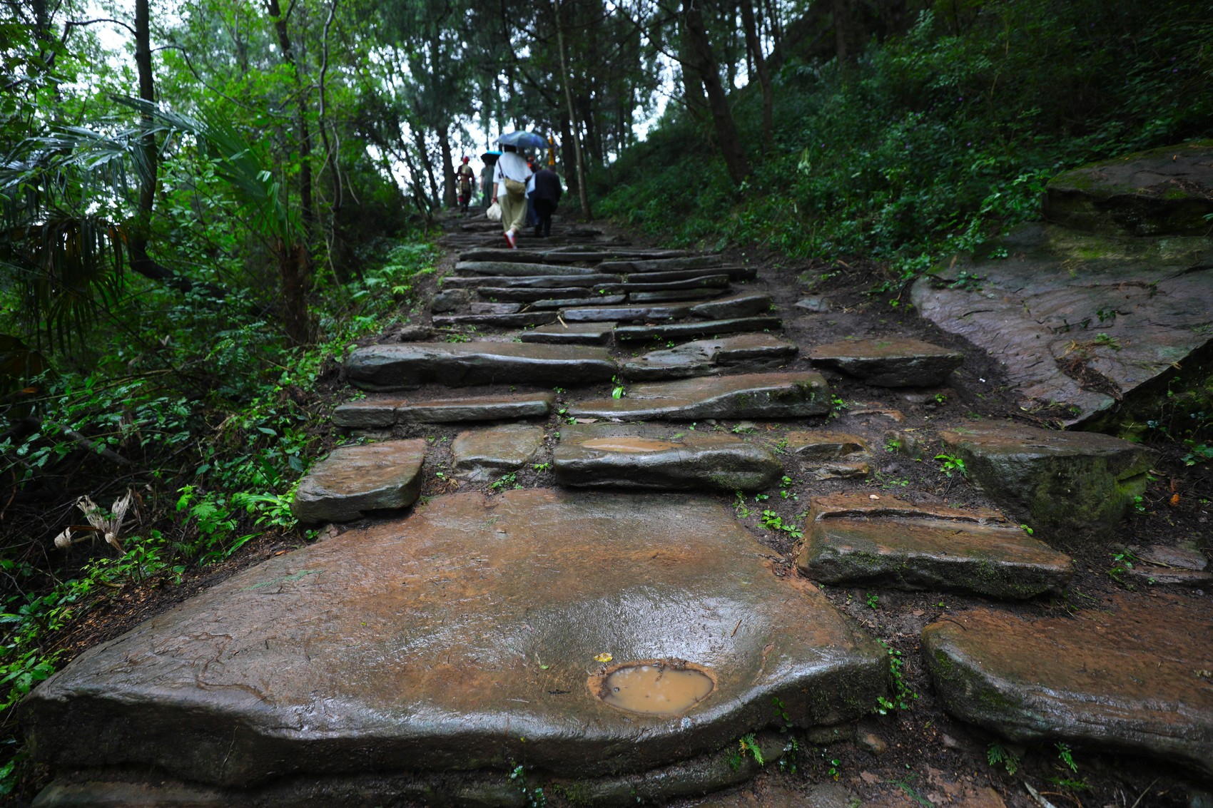 广元旅游攻略一日游推荐最新,广元春节游玩攻略路线