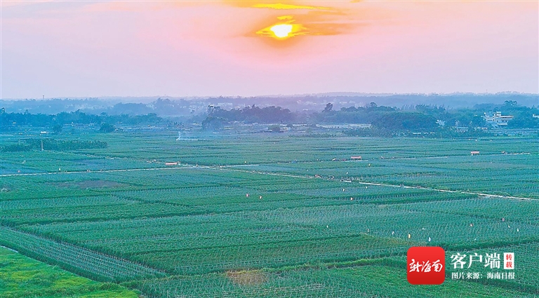 定安发展规划,定安未来的发展