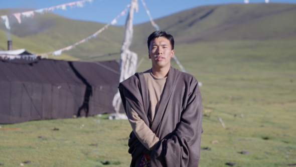 世界雪豹保护日,世界雪豹分布的国家数量