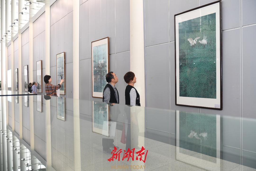 花开新征程绽放新精彩绘画图片,新花展