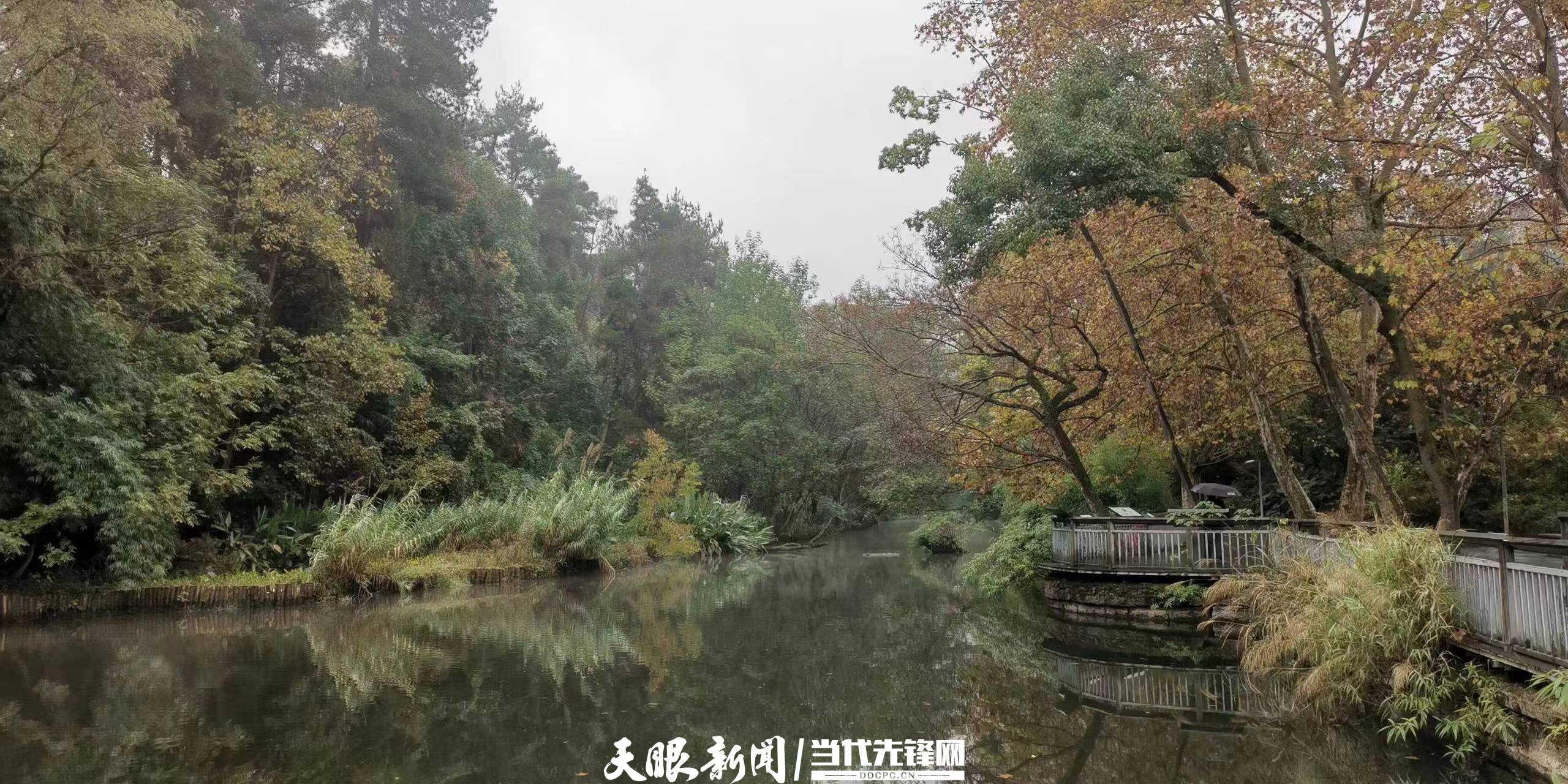 千园之城贵阳公园,千园之城贵阳绝美视频