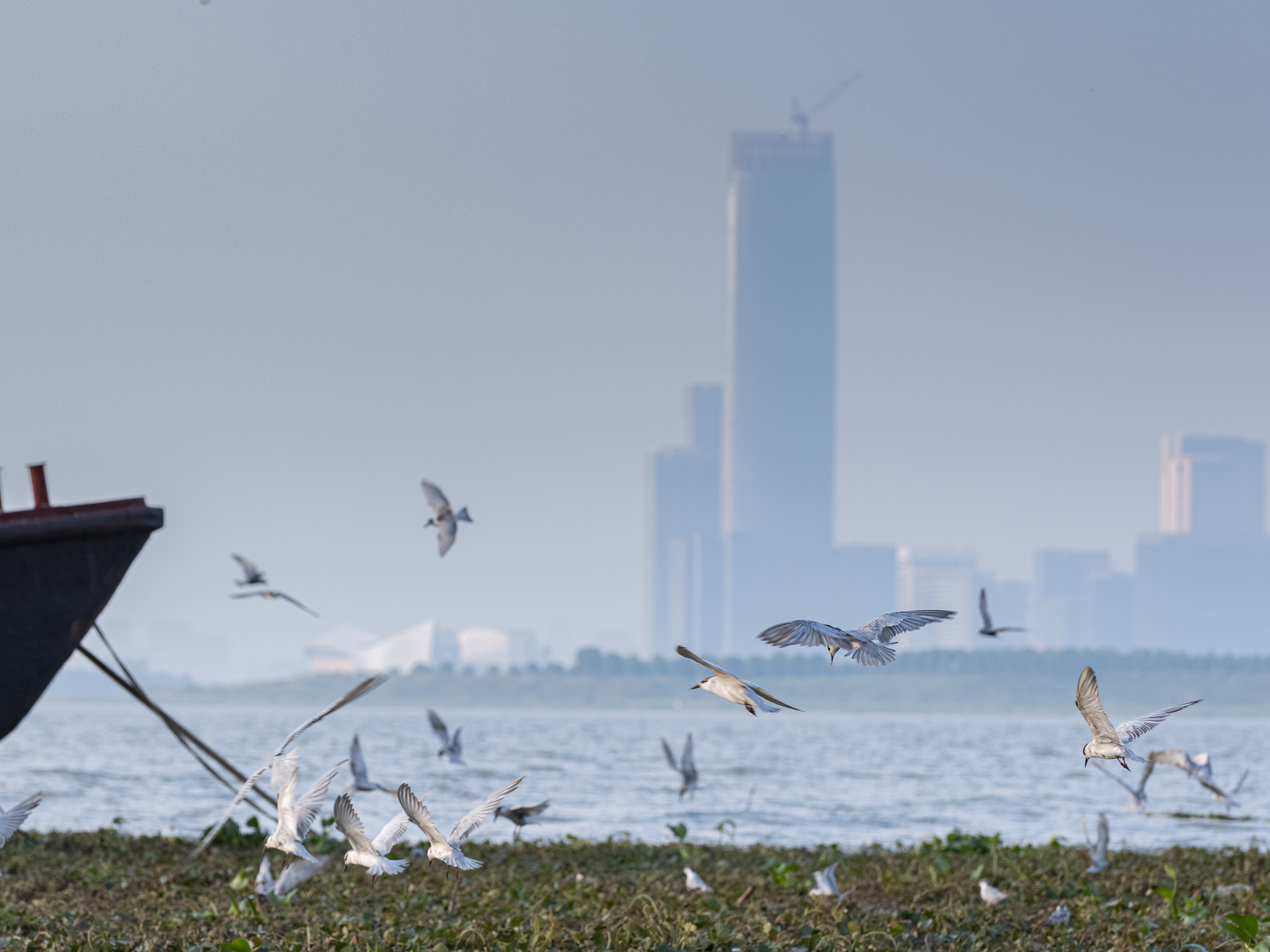 瞭望特色小镇,航拍小城镇视频