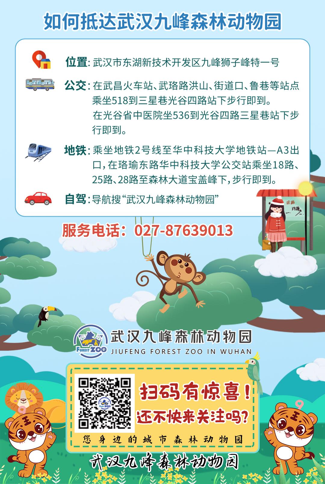 武汉九峰森林野生动物园招聘,武汉光谷森林公园招聘