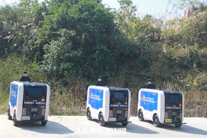 绿色快递包裹,绿色低碳快递