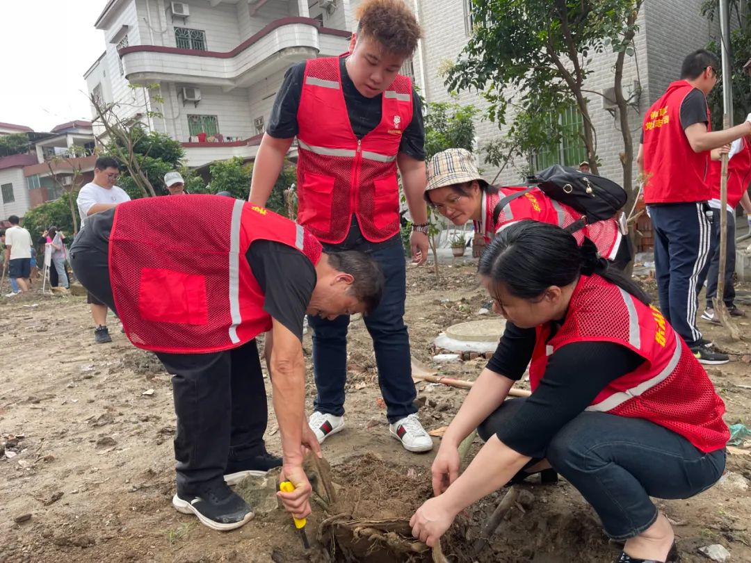 顺德乐从大墩村规划建设,乐从大墩