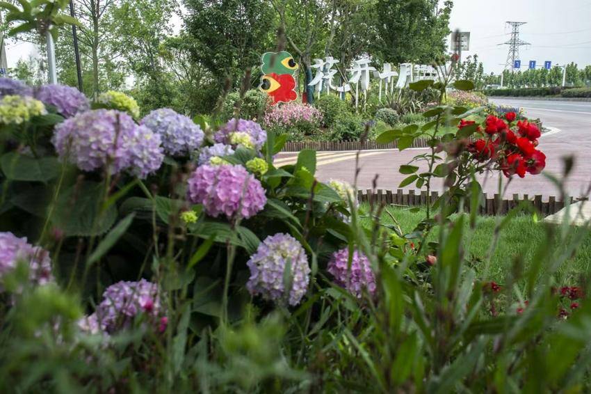 高端黑臭水体治理,清河黑臭水体治理