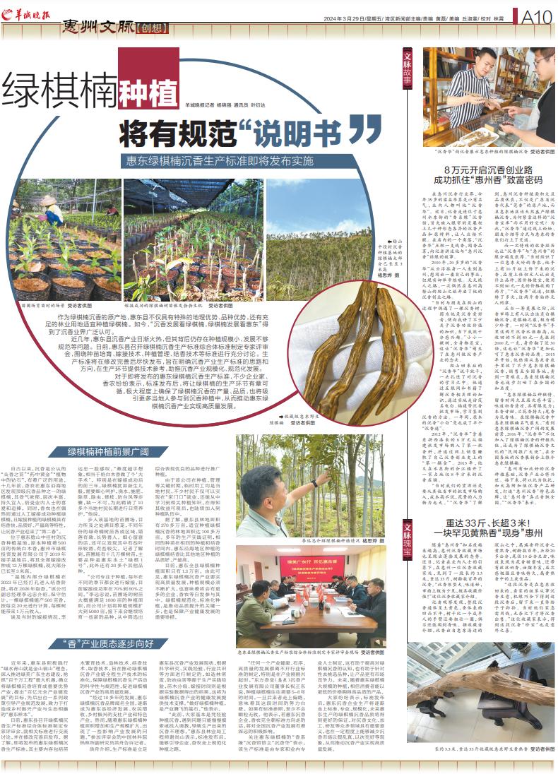 惠州绿棋沉香怎么样,惠东绿棋楠沉香礼盒