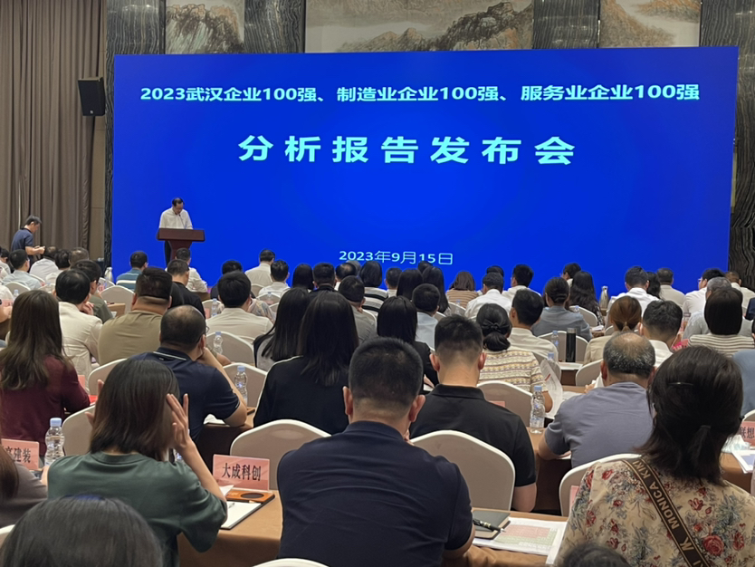 2019年武汉100强企业名单,2023年武汉民营企业100强营收