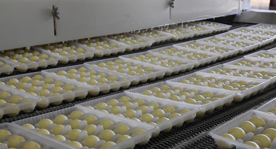 马不停蹄干工作再接再厉创佳绩,稳扎稳打各项工作逐步推进