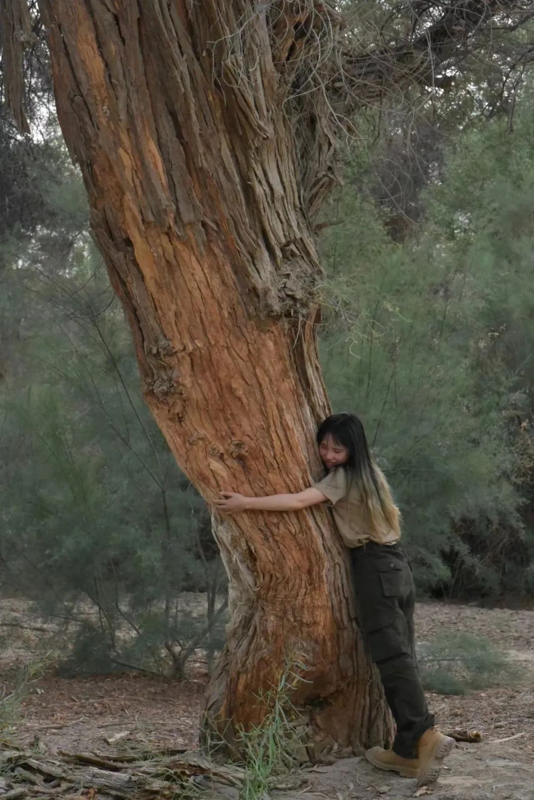 谁懂啊！沪上年轻人开始流行“抱树”解压了